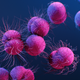 Yes, Super Gonorrhea Is Real and It's Gonna Get Worse